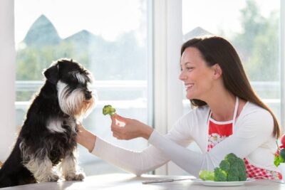 Dürfen Hunde Brokkoli essen?